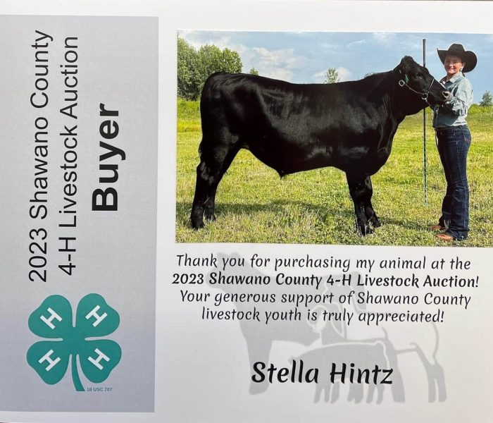 Shawano Cty Fair 2023 beef